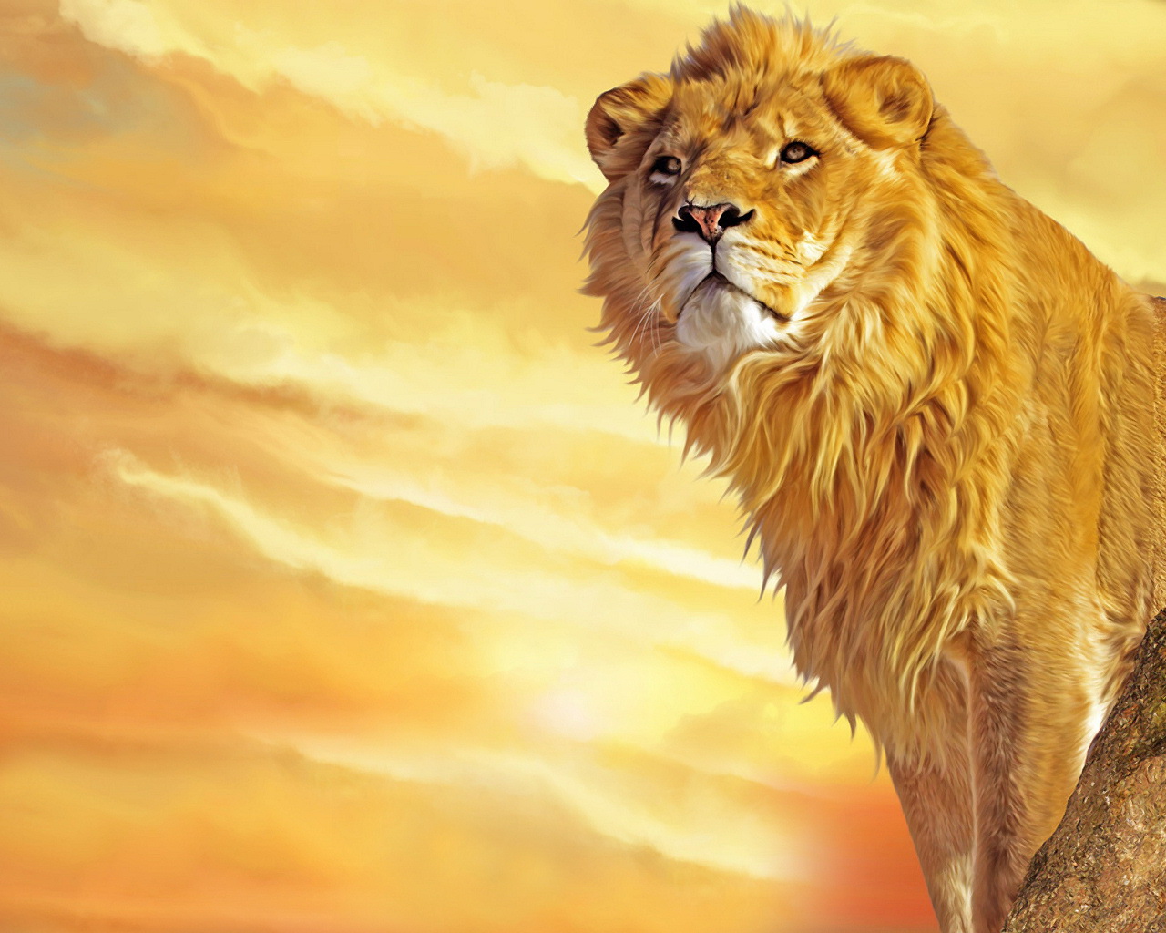 Fierce Lion Wallpapers