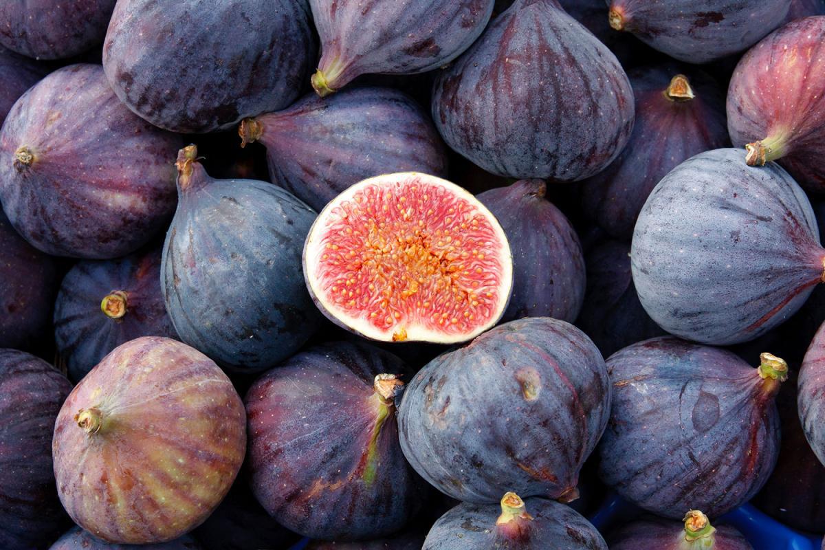 Fig Wallpapers