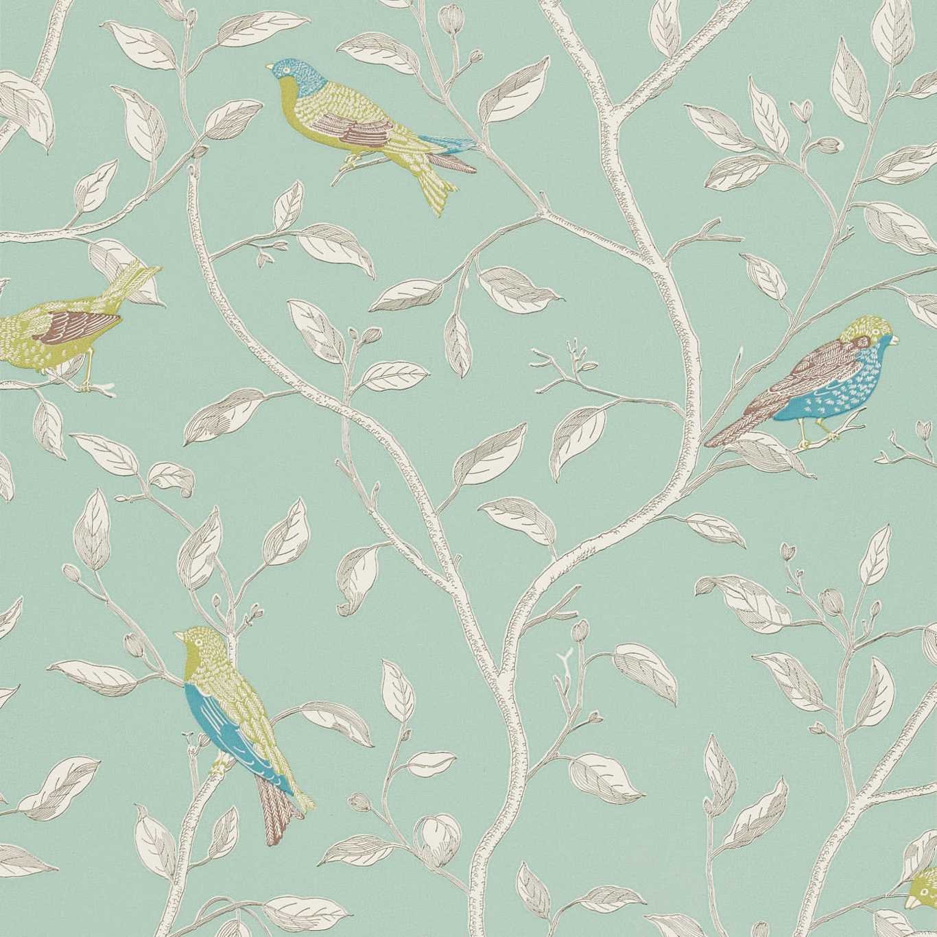 Finches Wallpapers