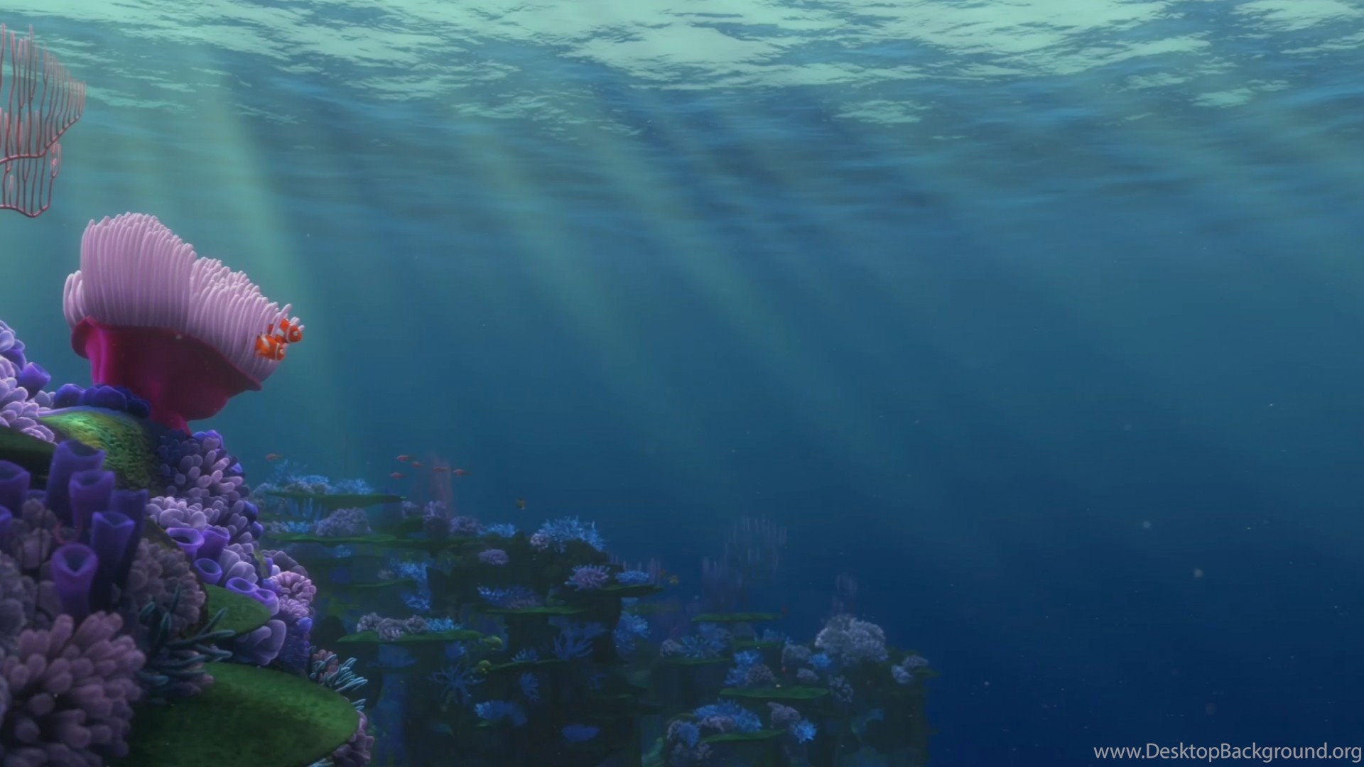 Finding Dory Background