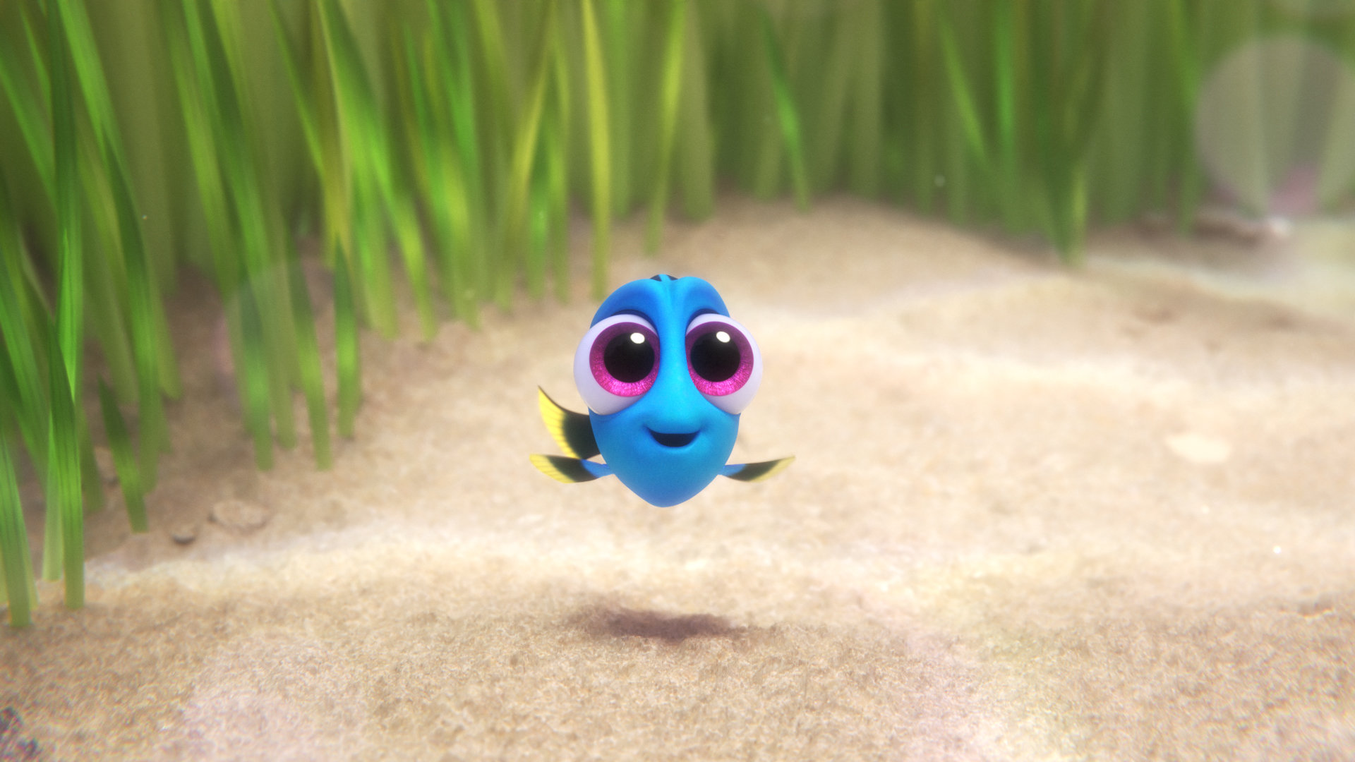 Finding Dory Background