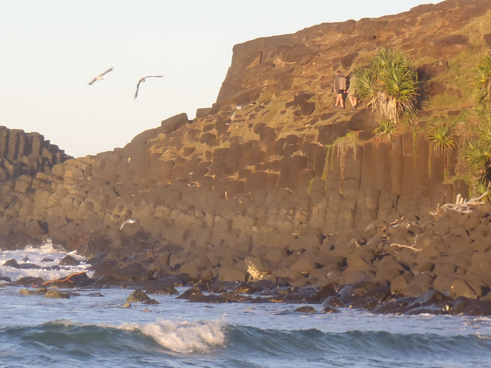 Fingal Head Causeway Wallpapers