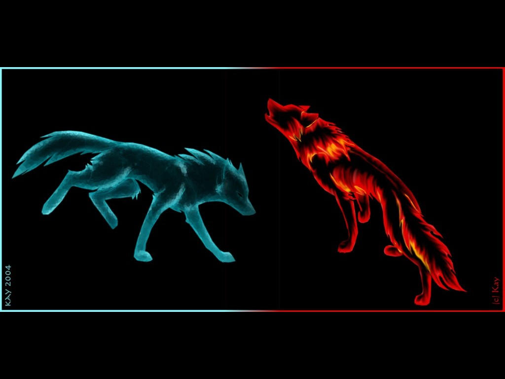 Fire And Ice Wolf Wallpapers