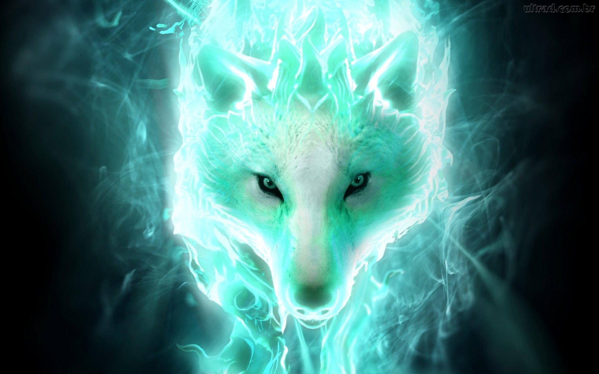 Fire And Ice Wolf Wallpapers