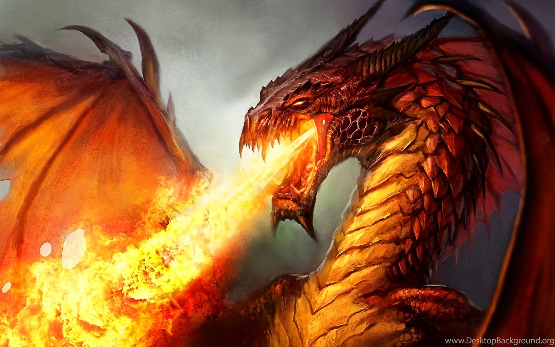 Fire Dragon Wallpapers