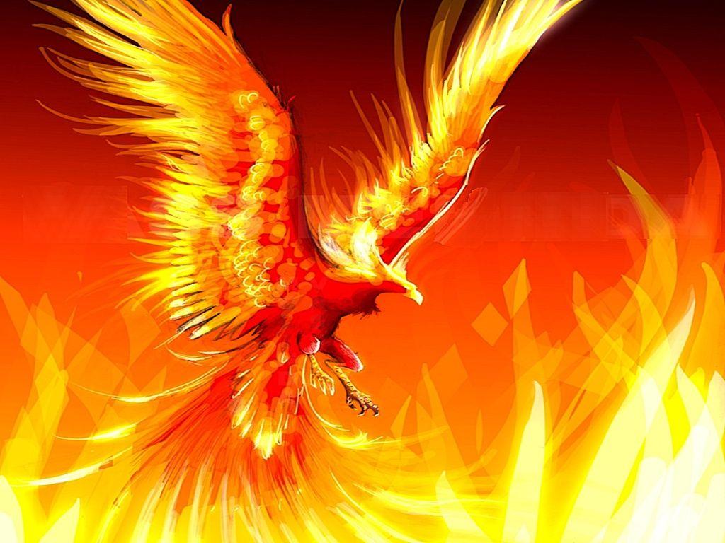 Fire Eagle Images Hd Wallpapers