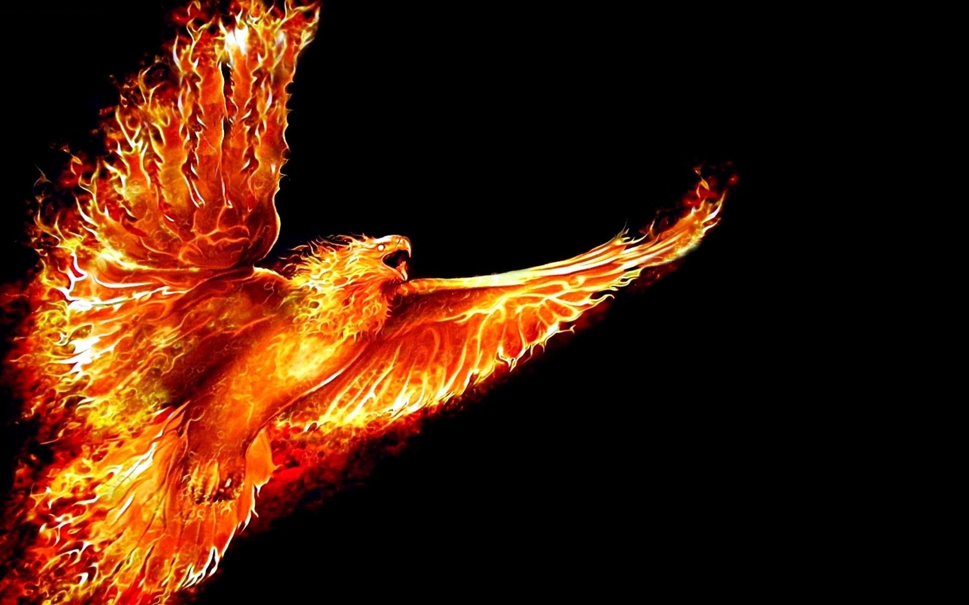 Fire Eagle Images Hd Wallpapers