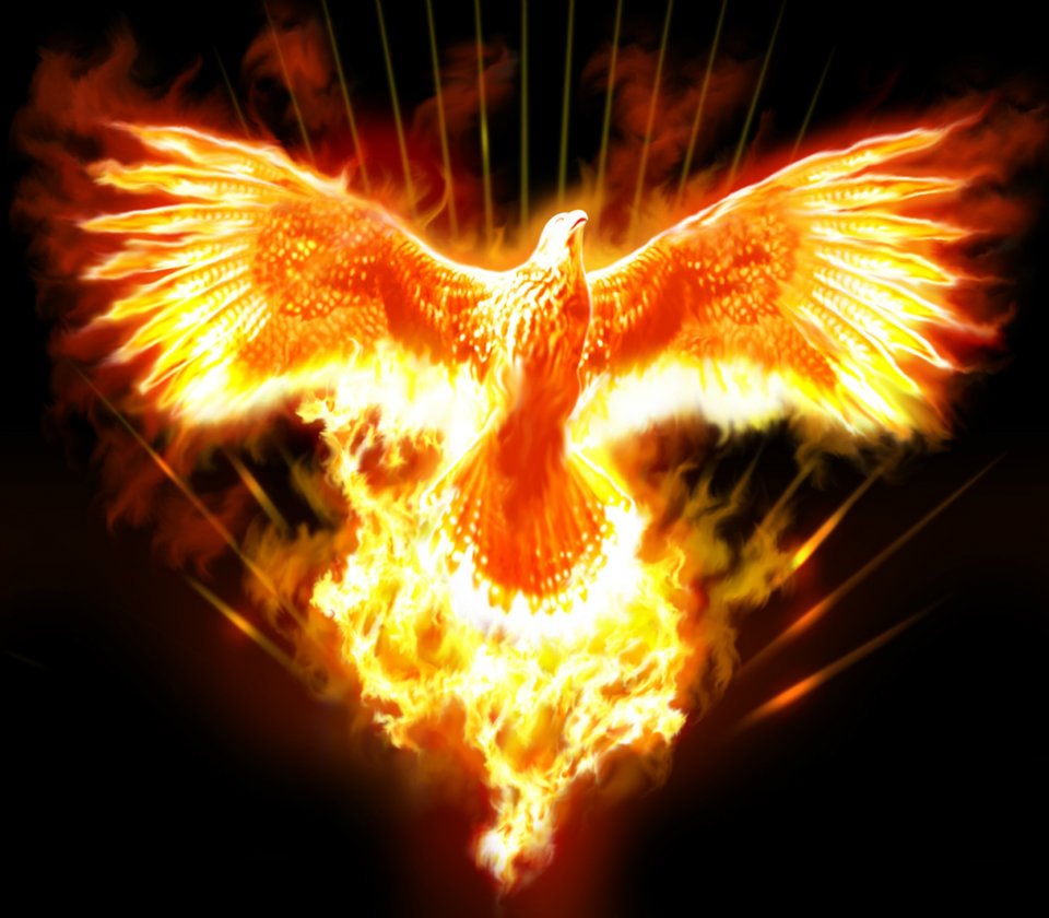 Fire Eagle Images Hd Wallpapers