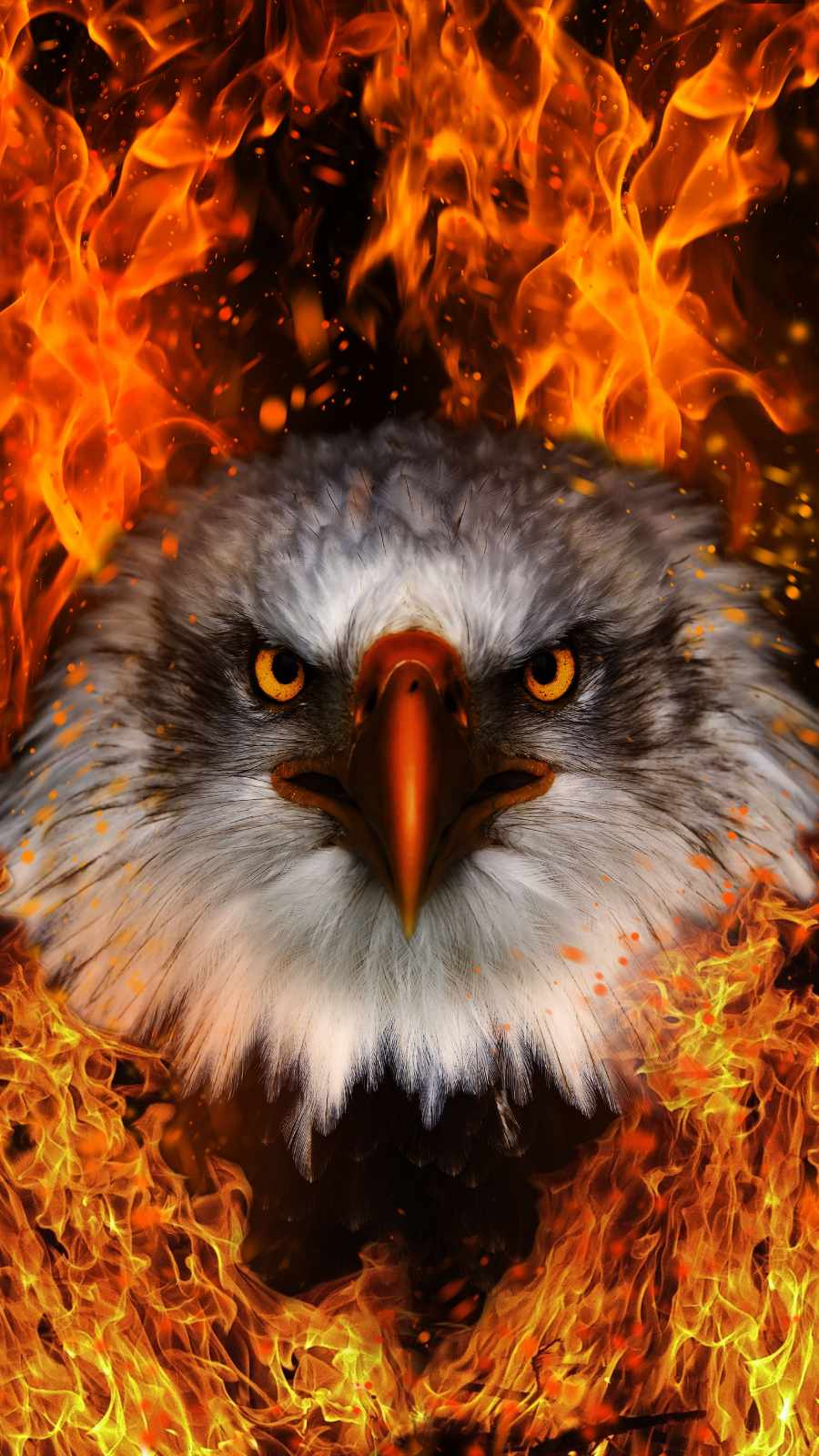 Fire Eagle Images Hd Wallpapers