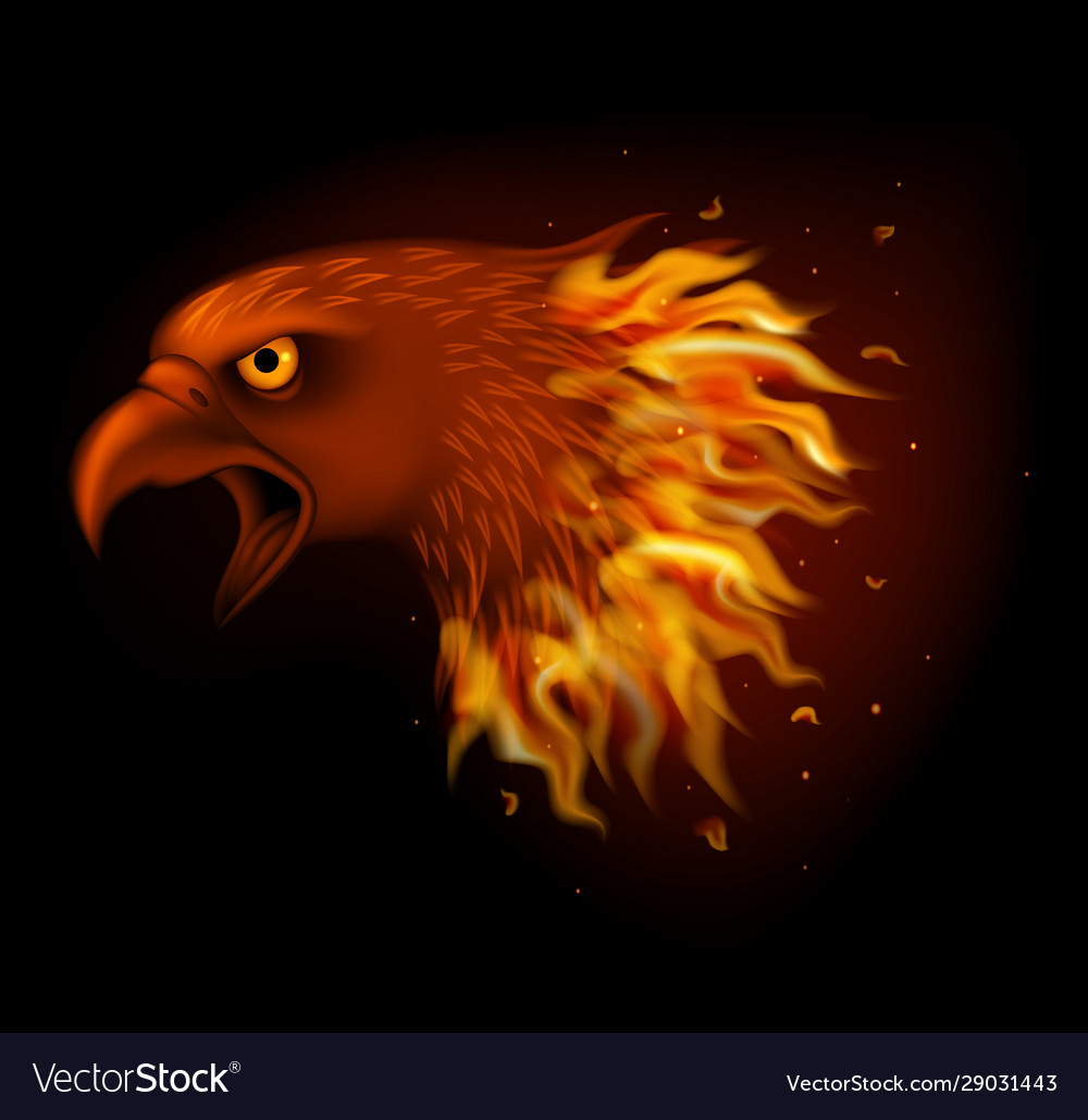 Fire Eagle Images Hd Wallpapers