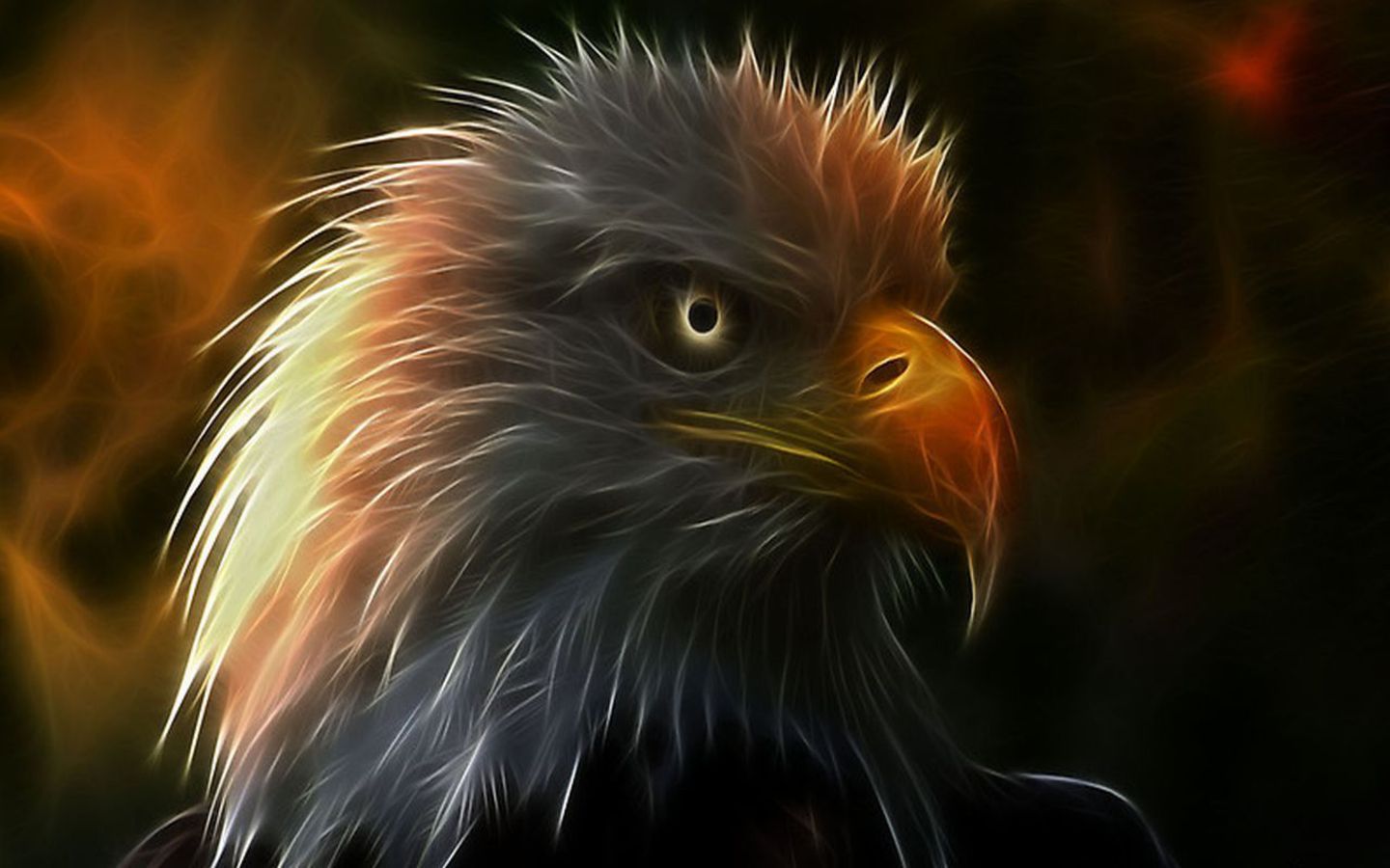 Fire Eagle Images Hd Wallpapers