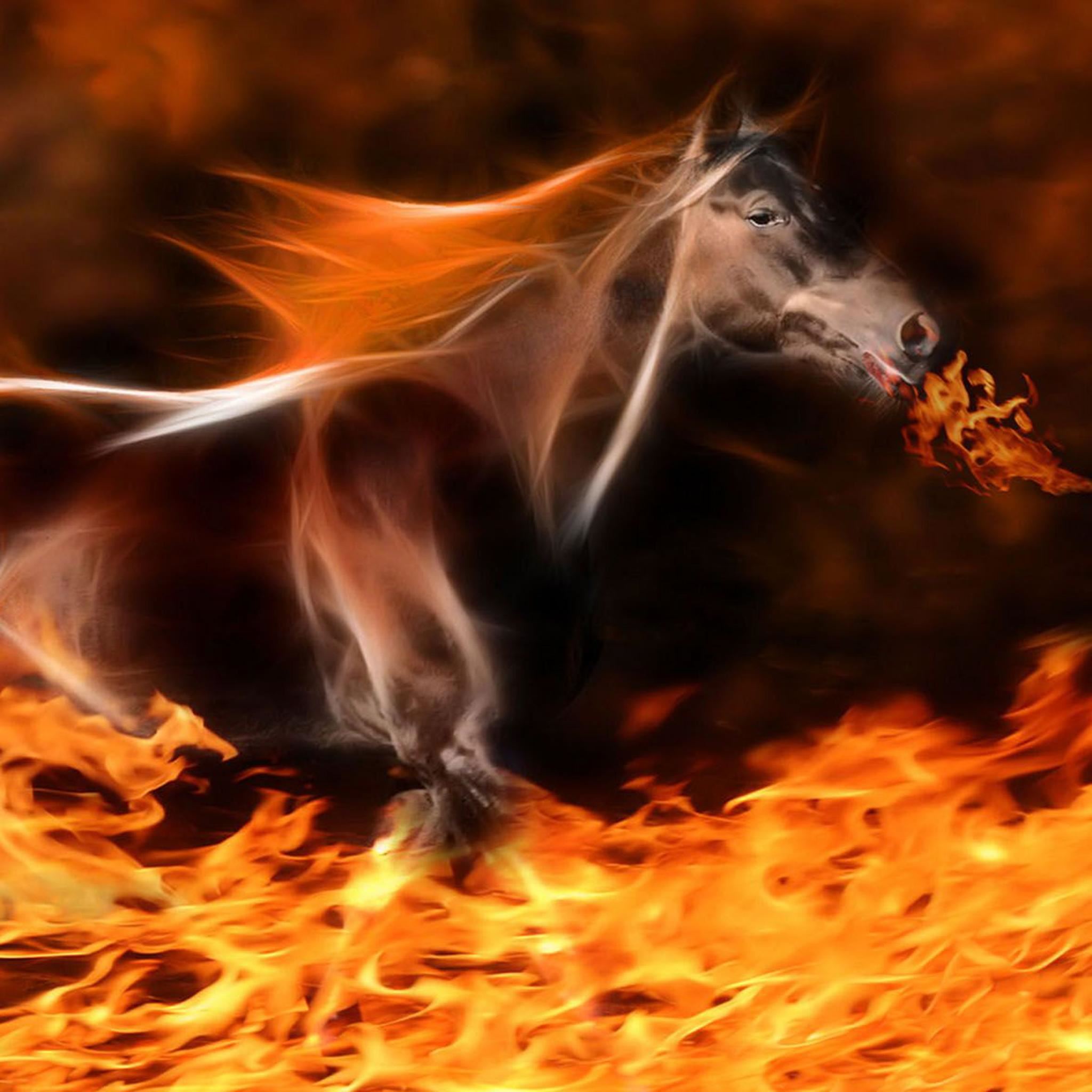 Fire Horse Wallpapers