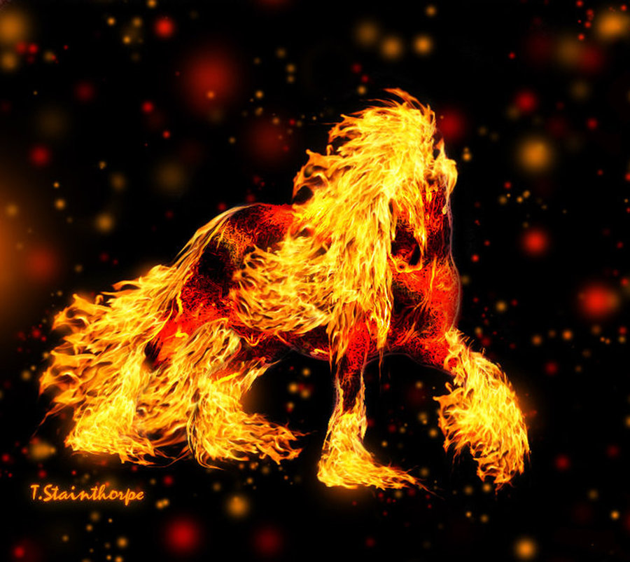 Fire Horse Wallpapers