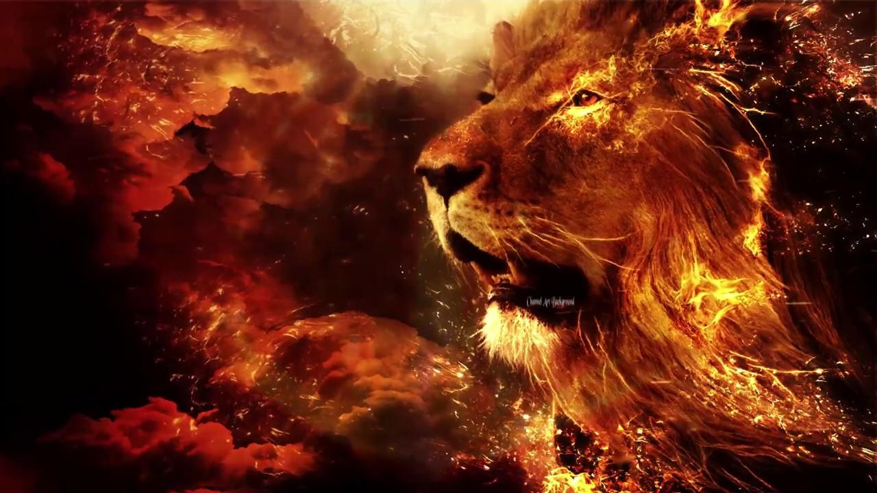 Fire Lion Wallpapers