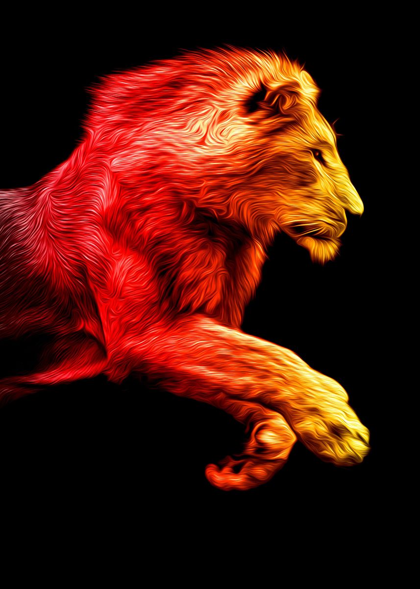 Fire Lion Wallpapers