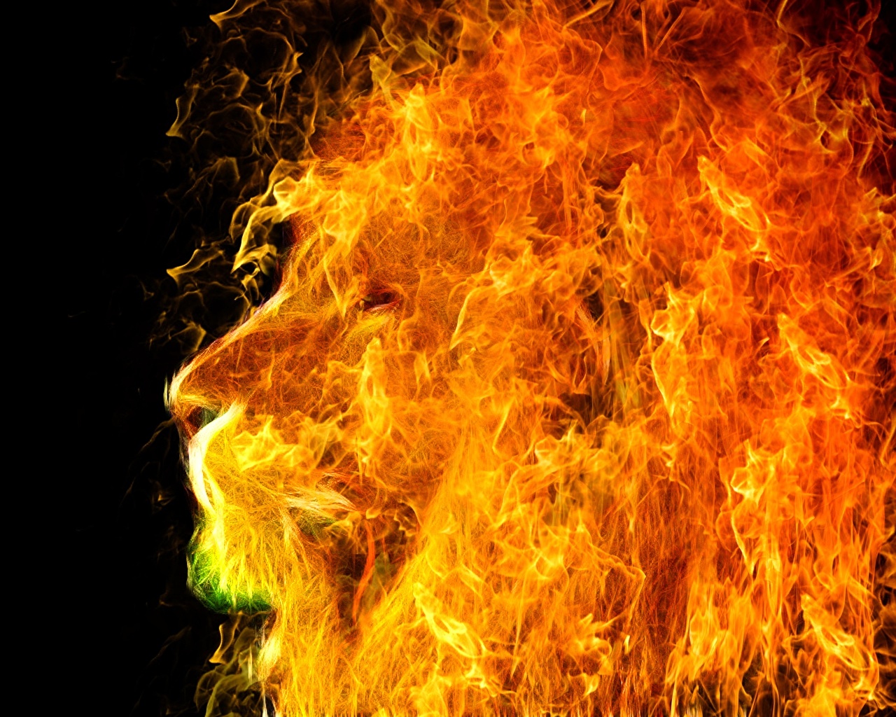 Fire Lion Wallpapers