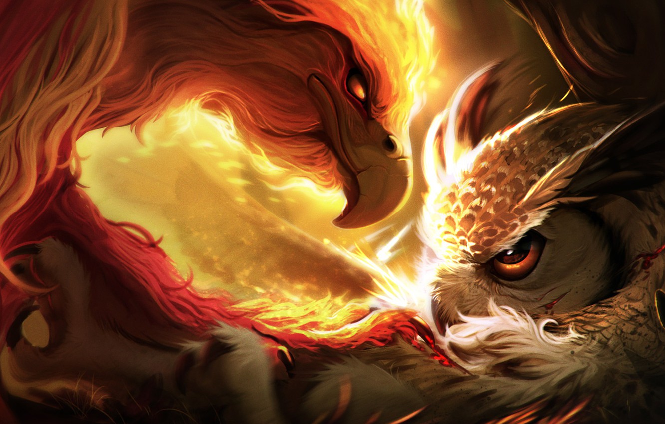 Fire Owl Wallpapers