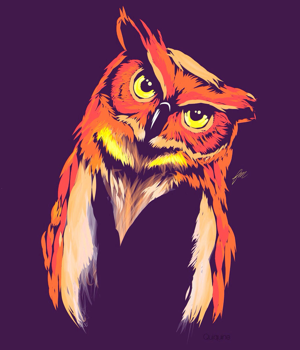 Fire Owl Wallpapers