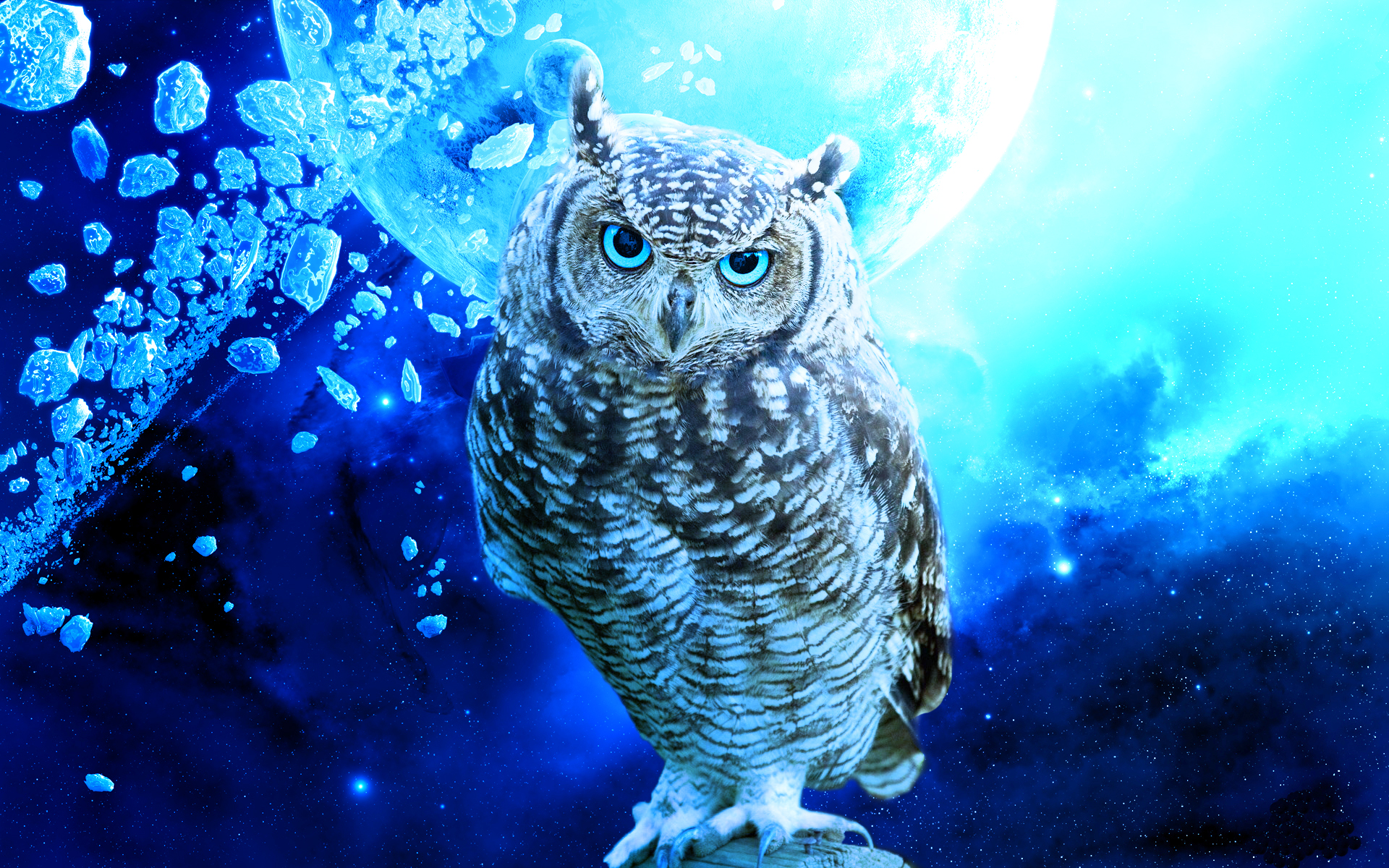 Fire Owl Wallpapers