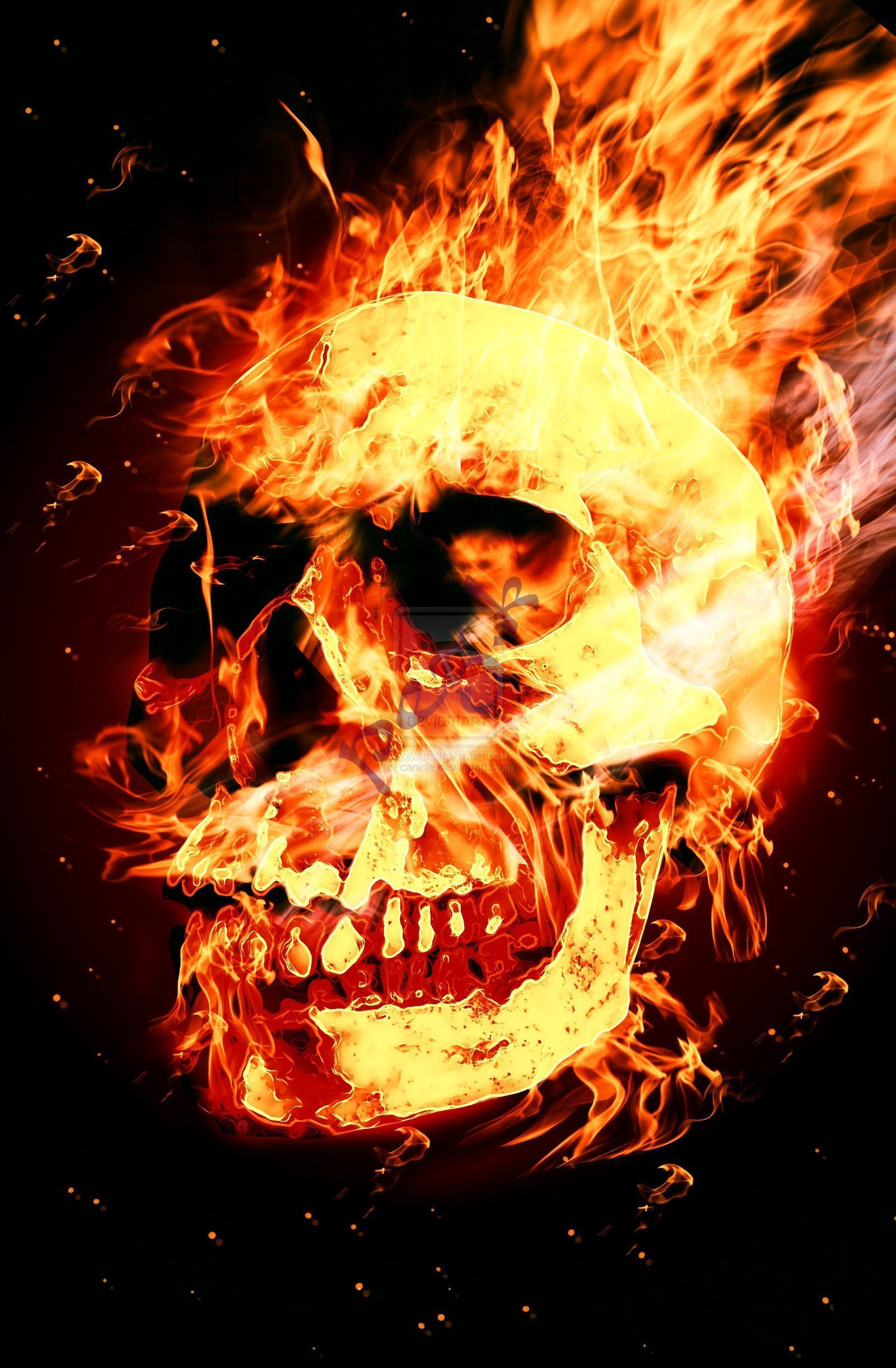 Fire Skull Wallpapers