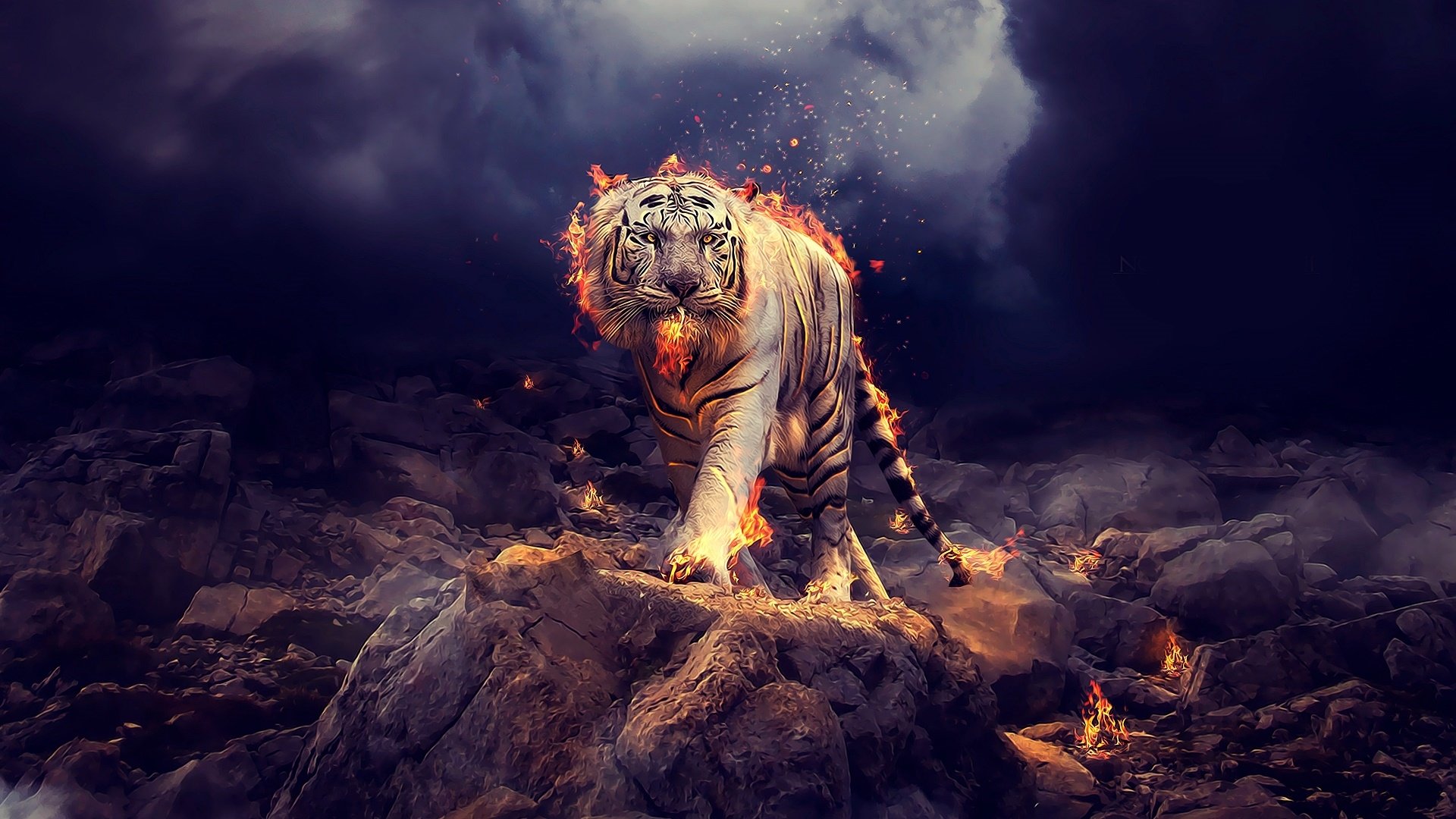 Fire Tiger Wallpapers