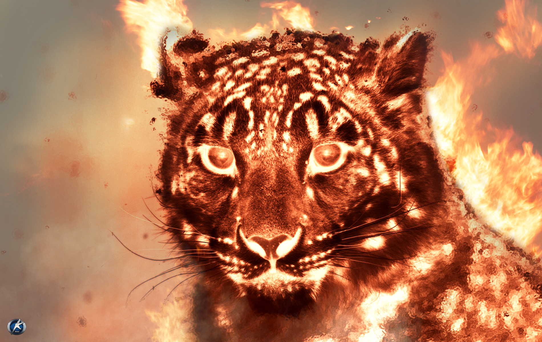 Fire Tiger Wallpapers