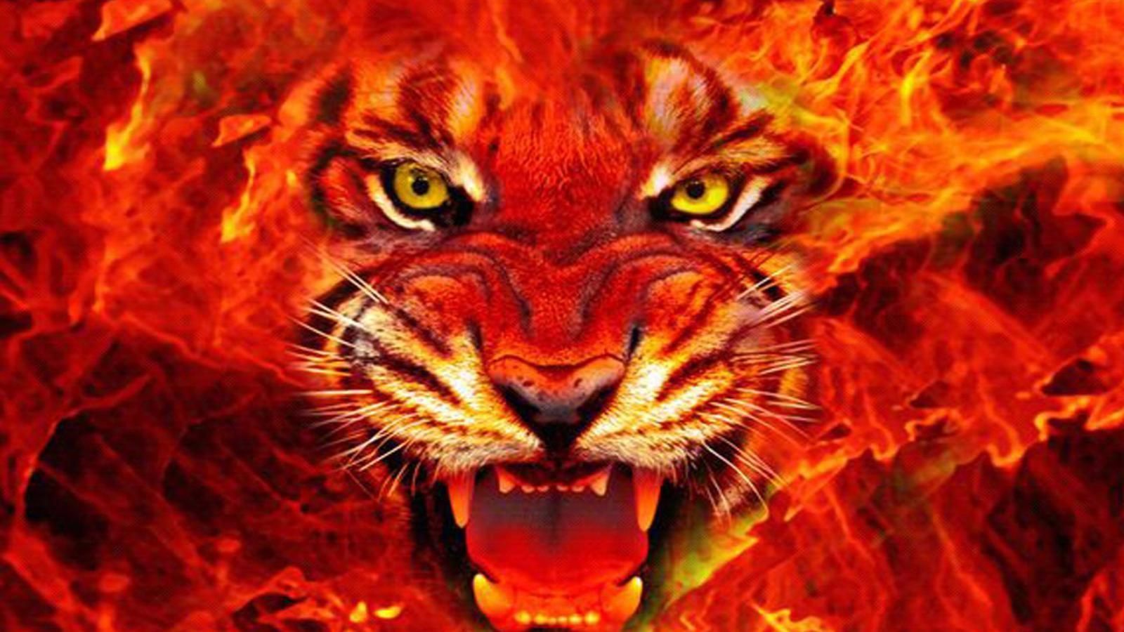 Fire Tiger Wallpapers