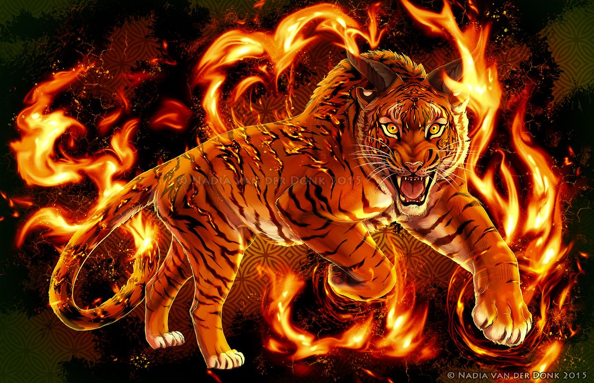 Fire Tiger Wallpapers