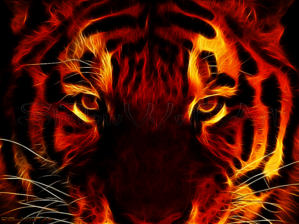 Fire Tiger Wallpapers