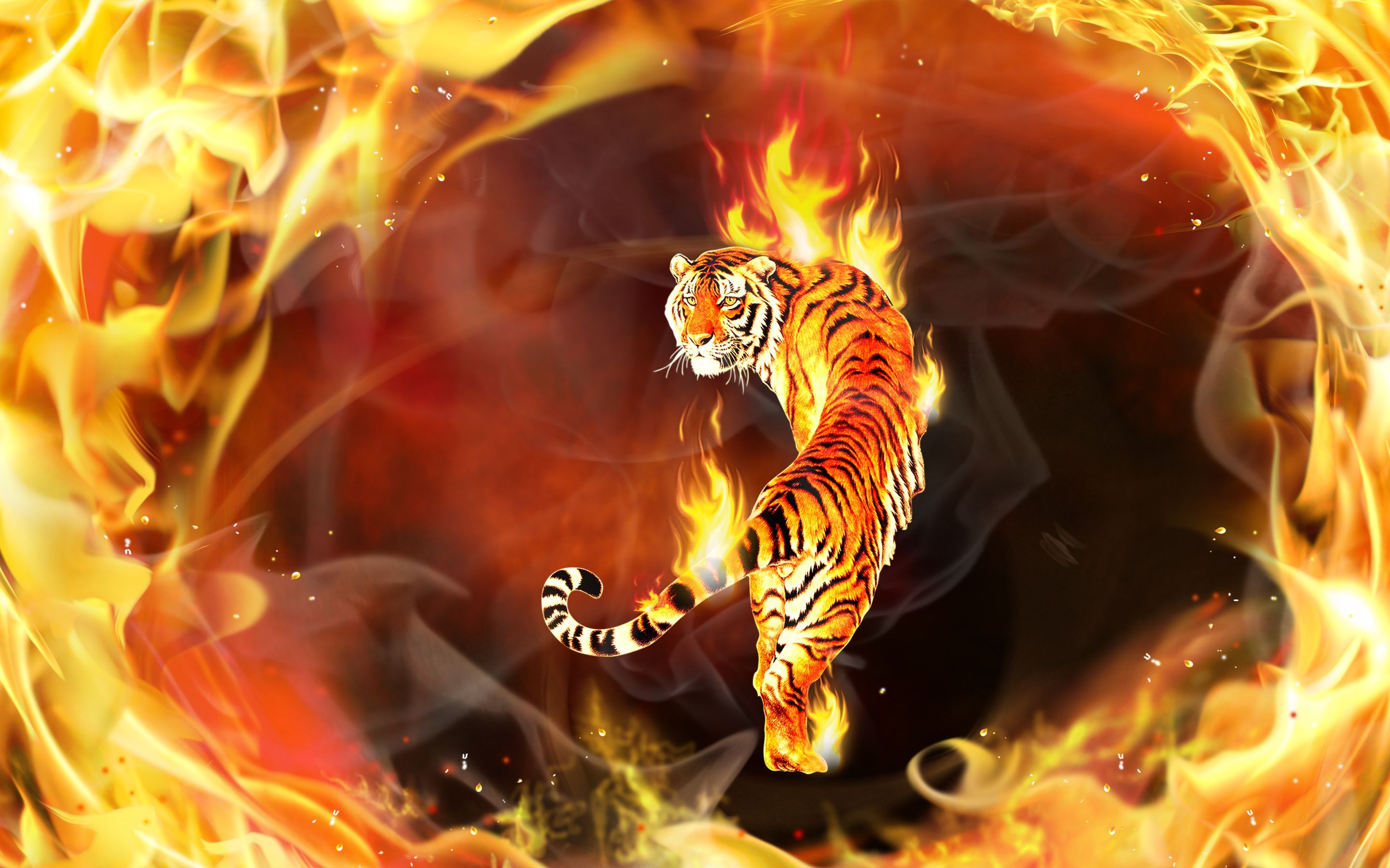 Fire Tiger Wallpapers