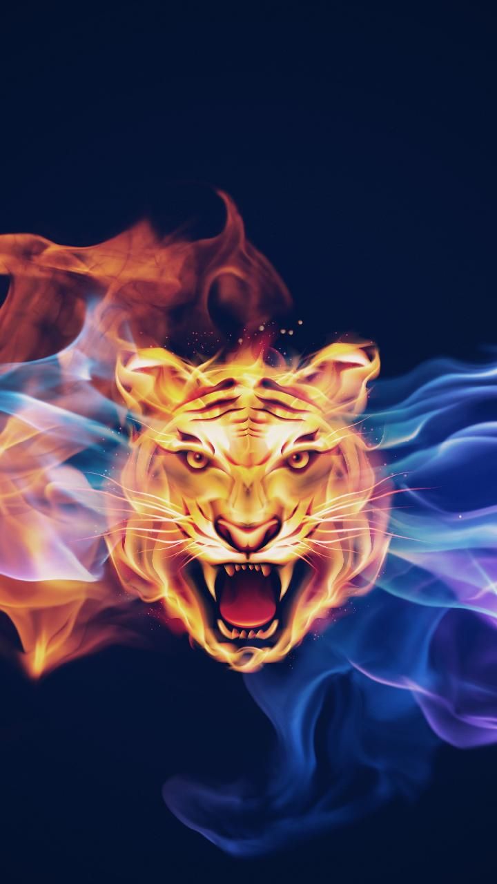 Fire Tiger Wallpapers