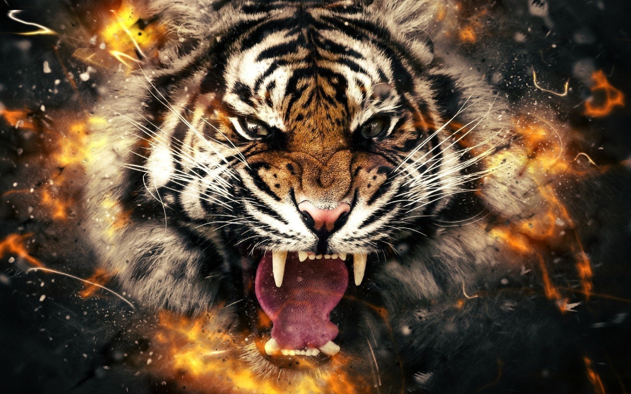 Fire Tiger Wallpapers