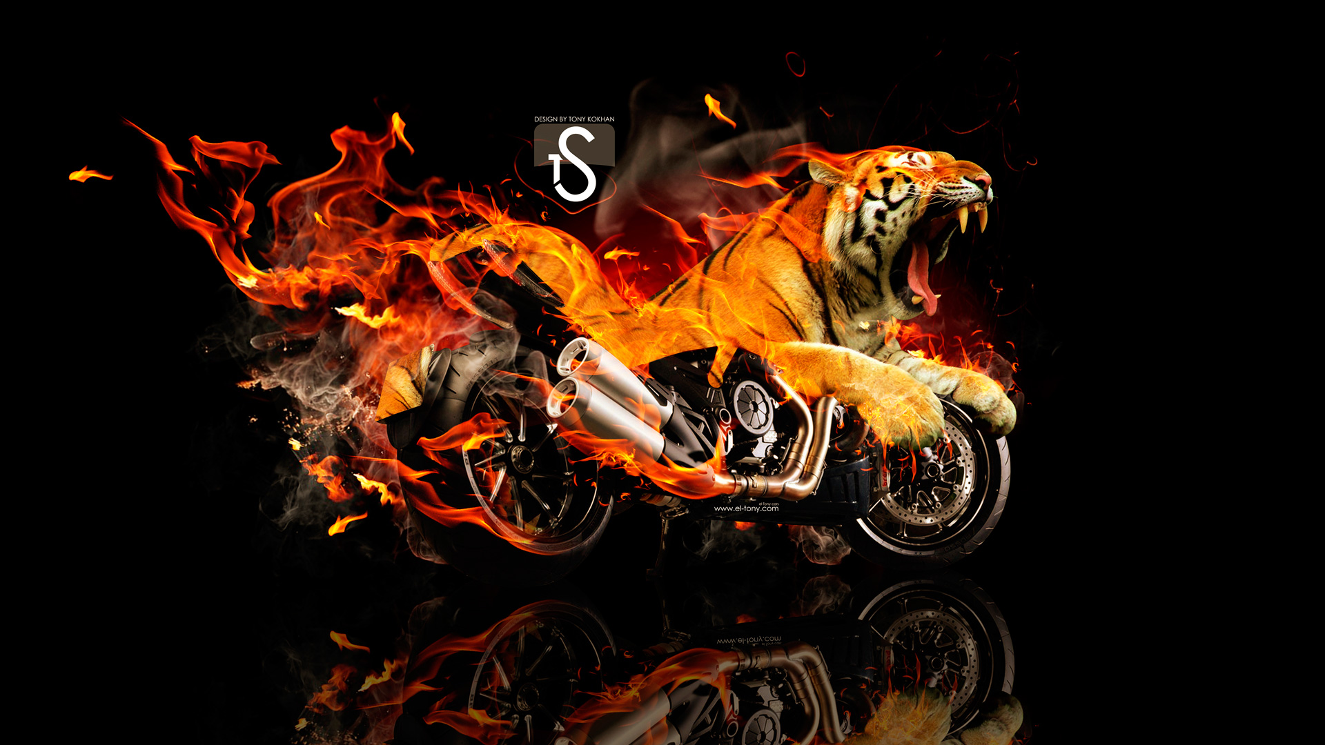 Fire Tiger Wallpapers