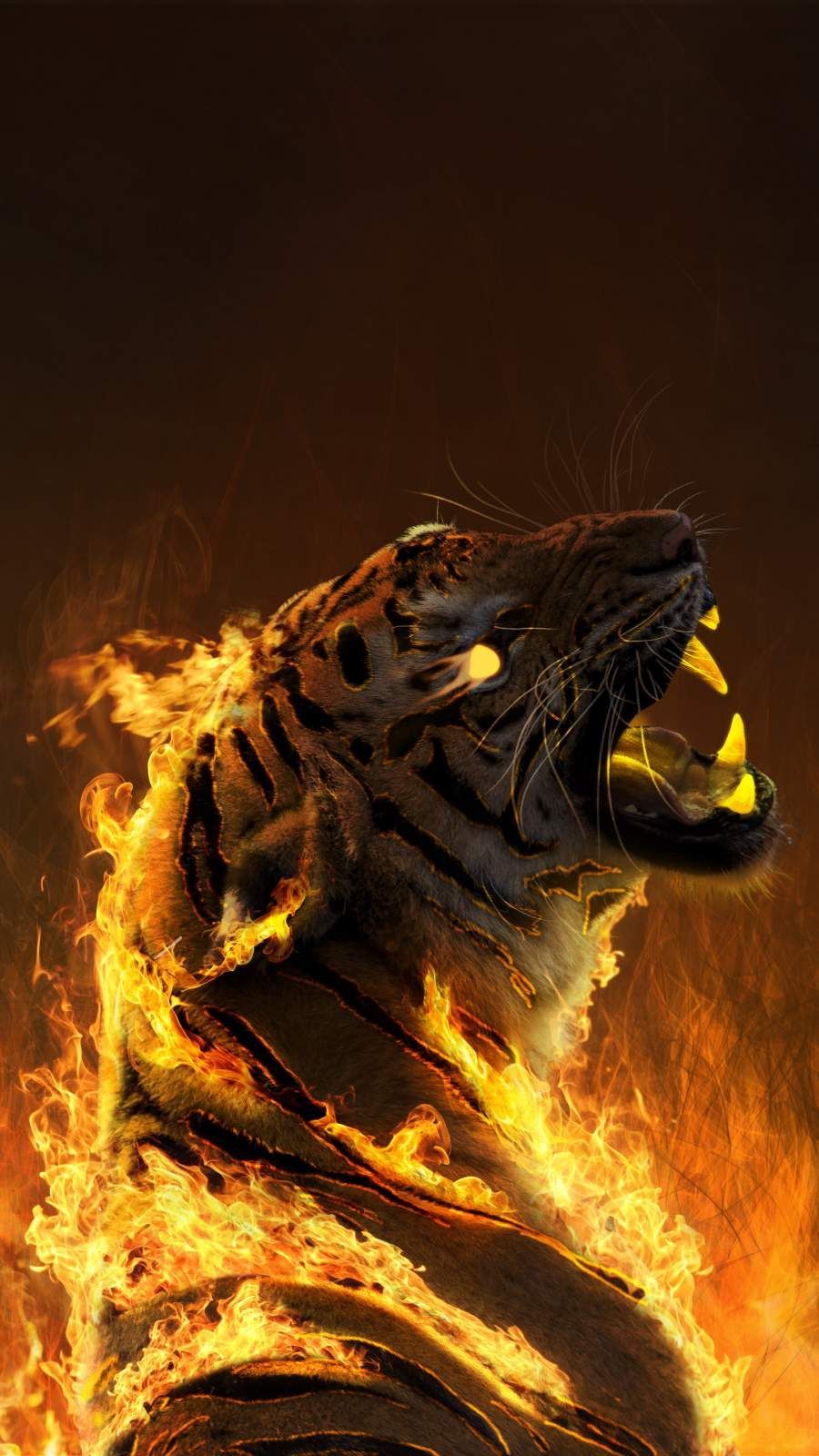 Fire Tiger Wallpapers