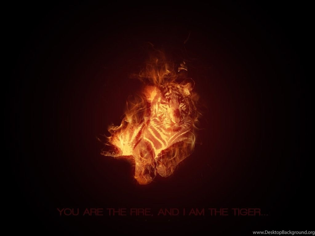 Fire Tiger Wallpapers