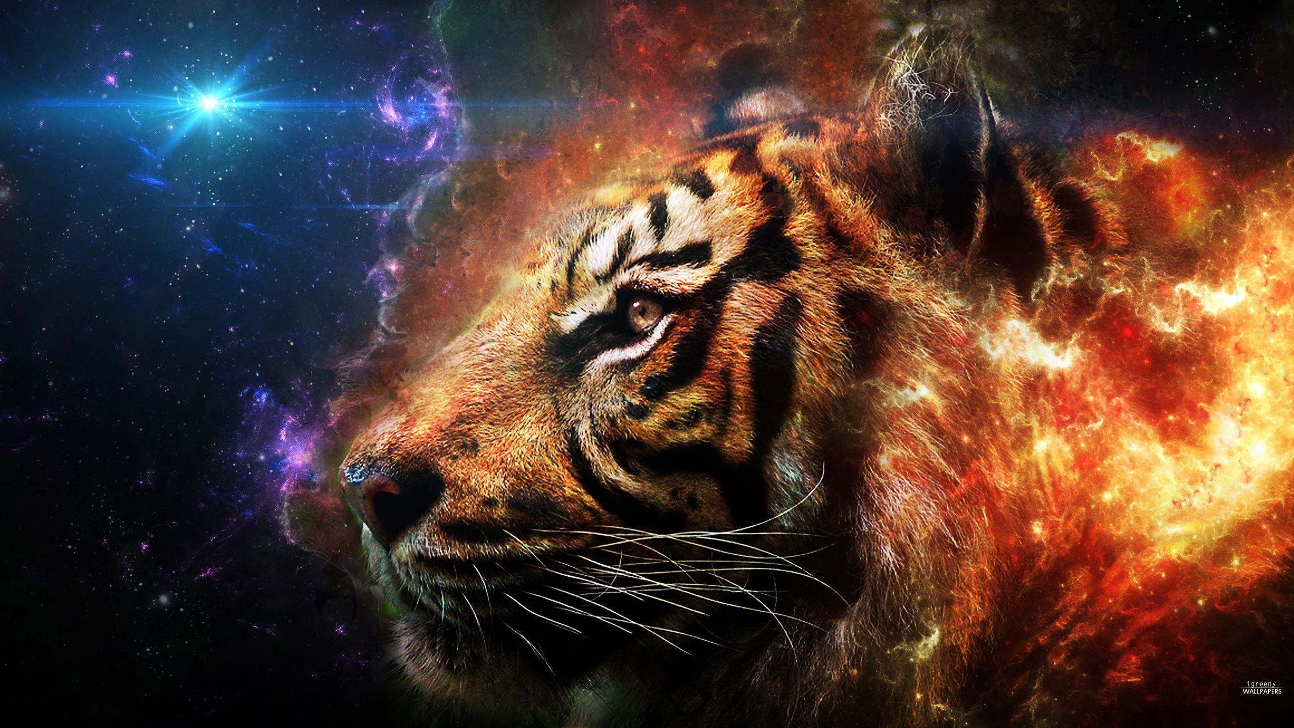 Fire Tiger Wallpapers