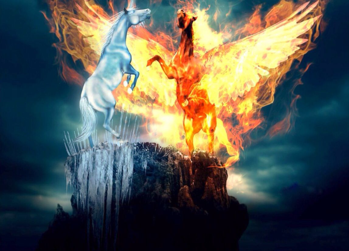 Fire Unicorns Wallpapers