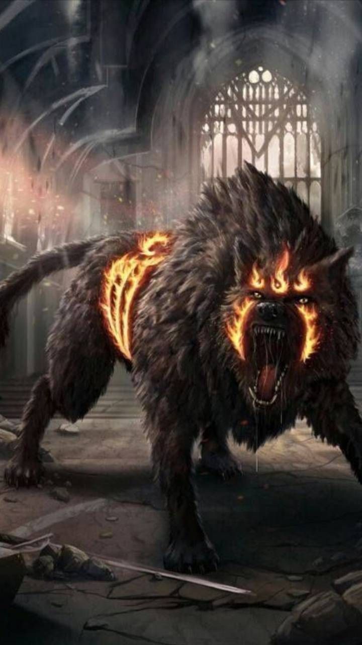 Fire Werewolf Wallpapers