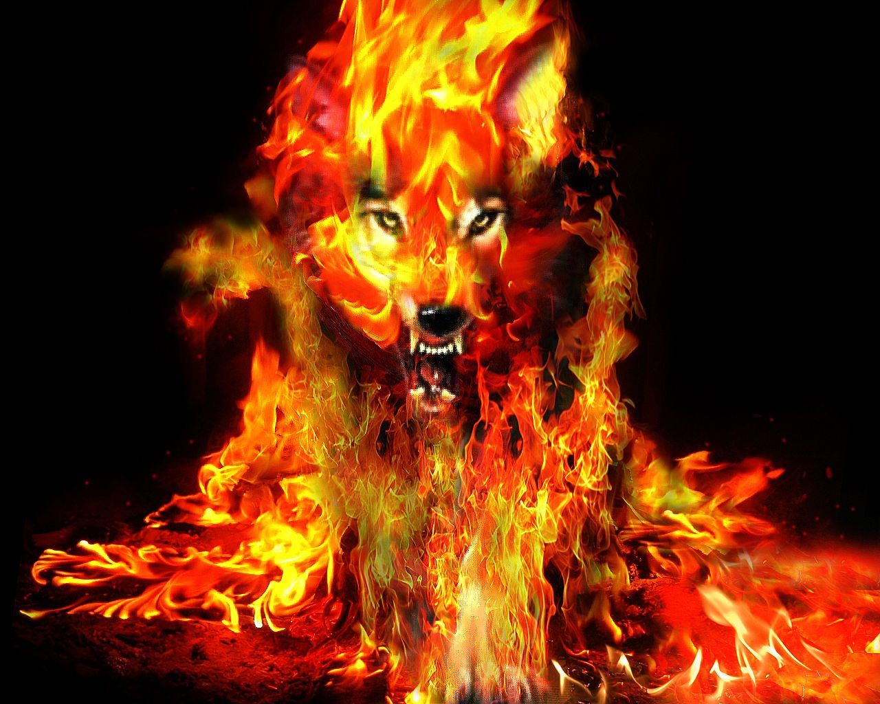 Fire Werewolf Wallpapers