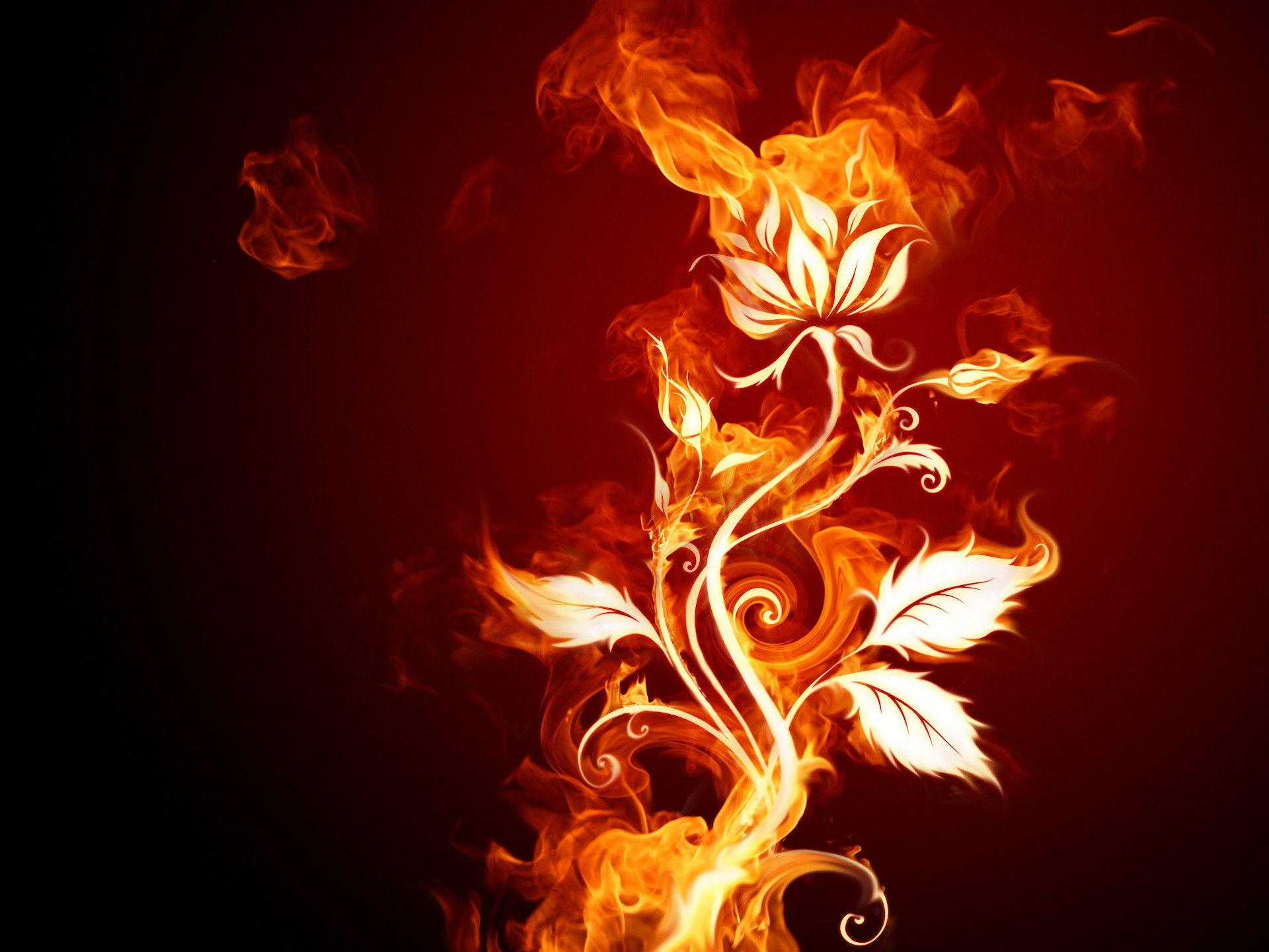 Fireblossom Wallpapers