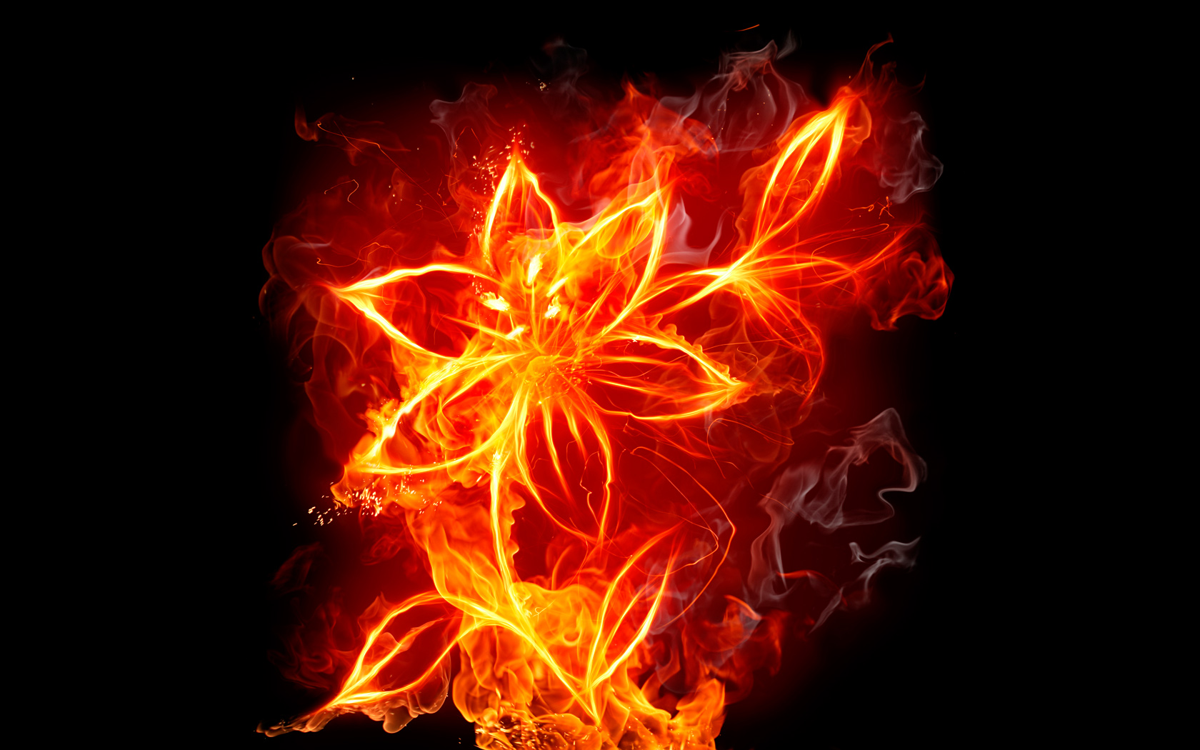 Fireblossom Wallpapers