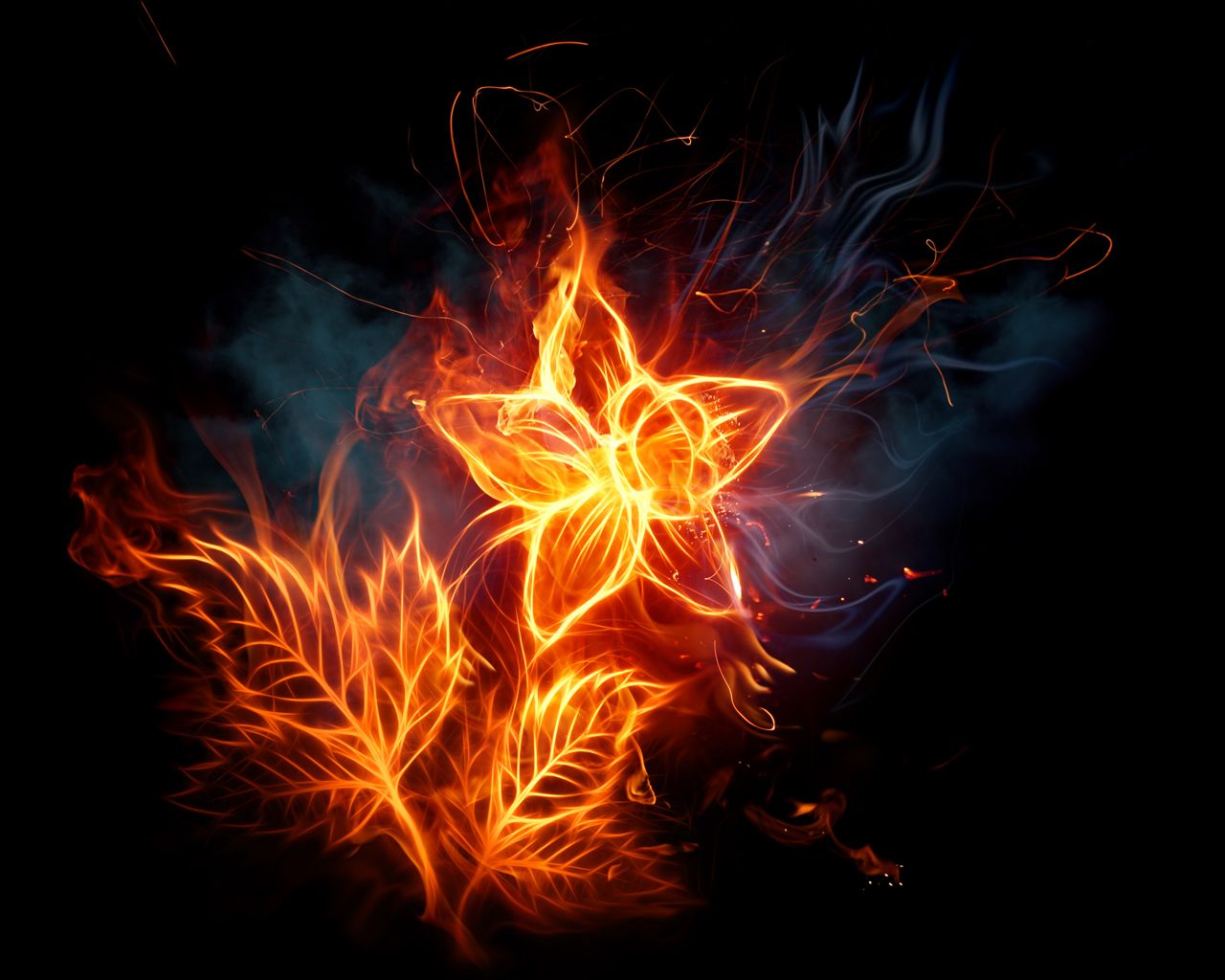 Fireblossom Wallpapers