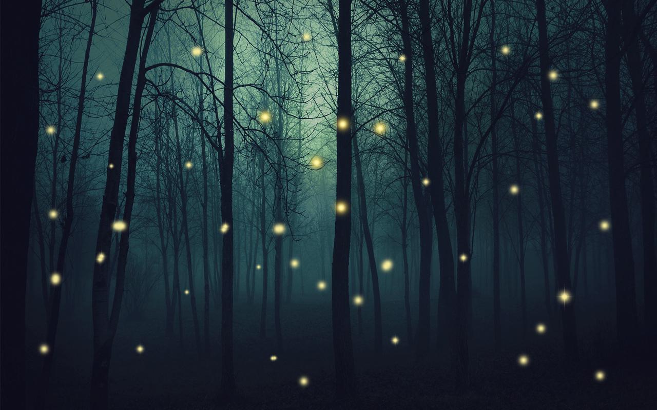 Fireflies Wallpapers