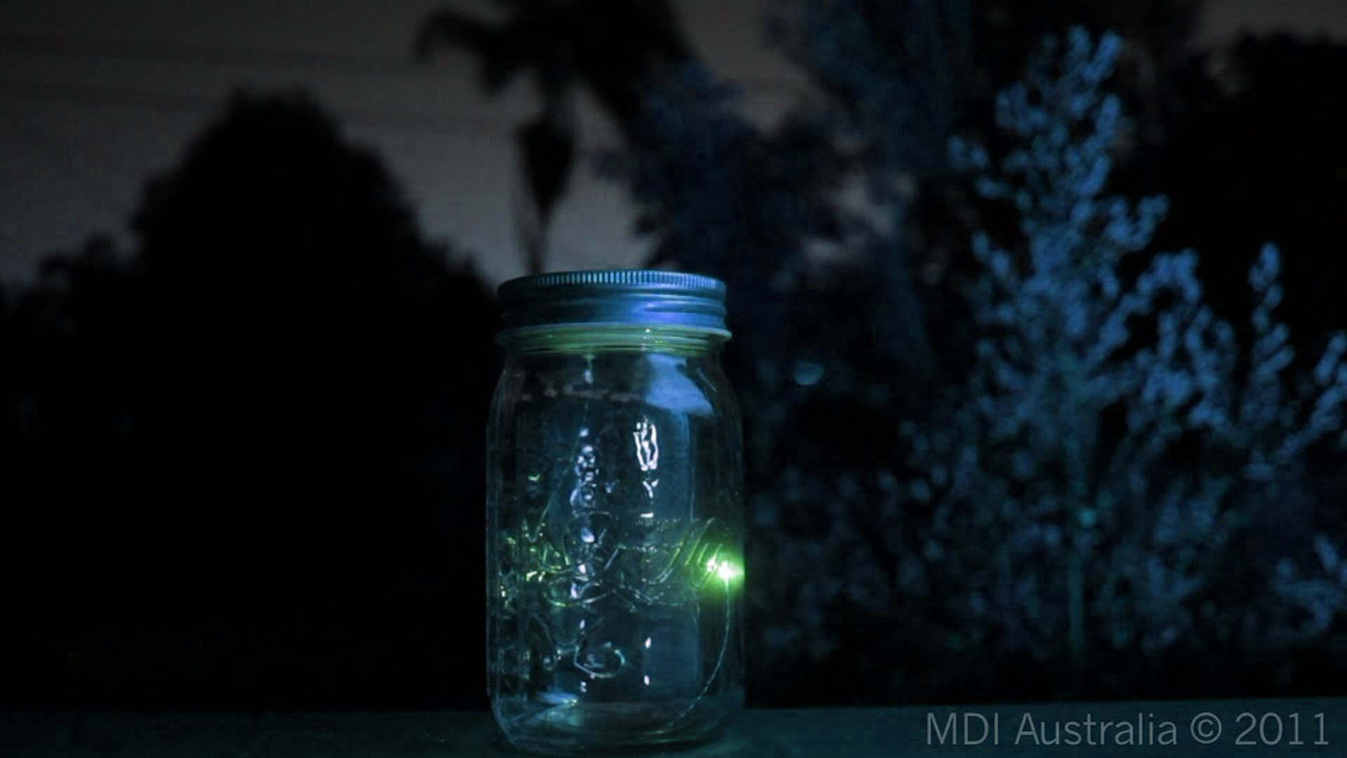 Fireflies Wallpapers