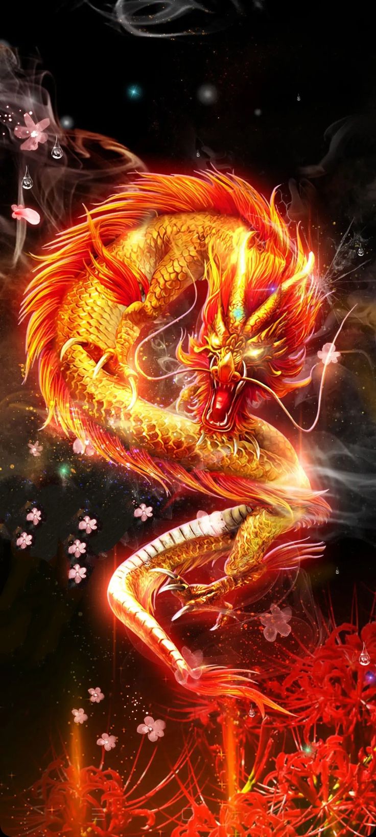 Firey Dragon
 Wallpapers