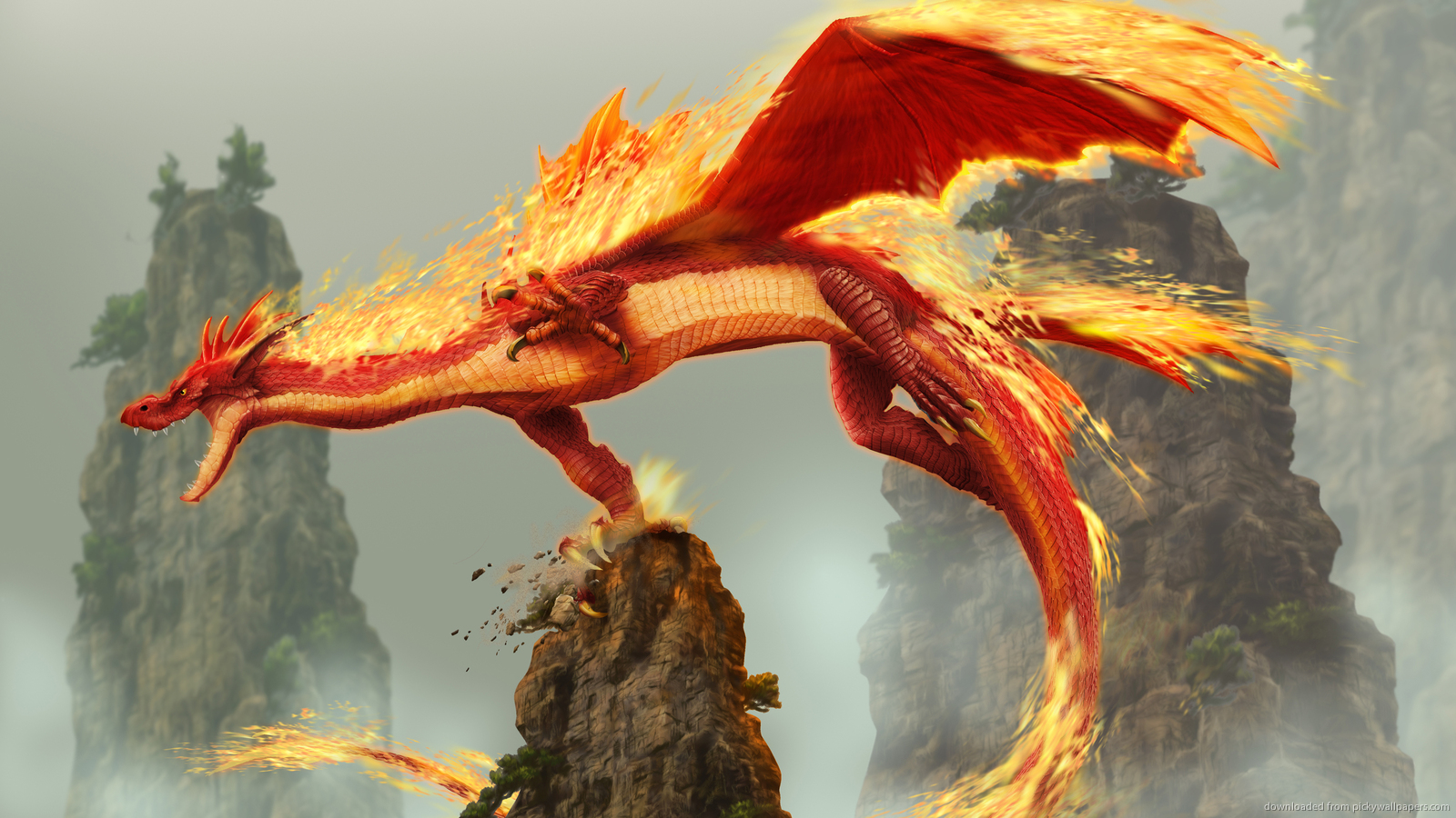 Firey Dragon
 Wallpapers