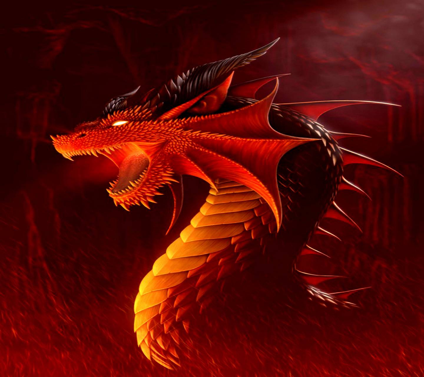 Firey Dragon
 Wallpapers