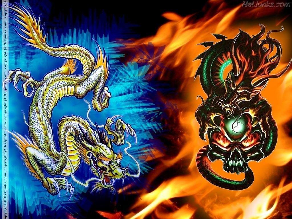 Firey Dragon
 Wallpapers