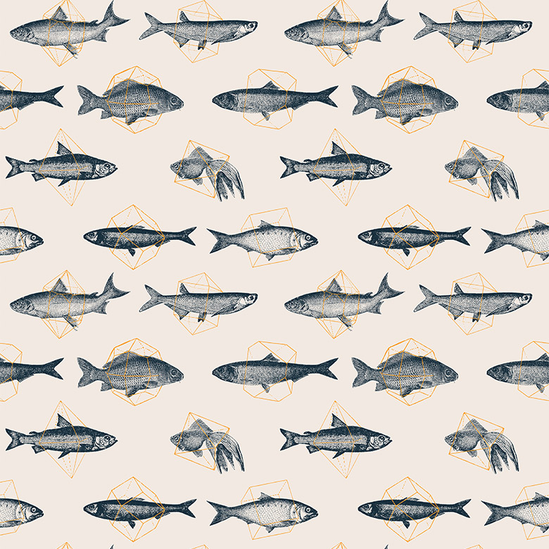 Fish Background