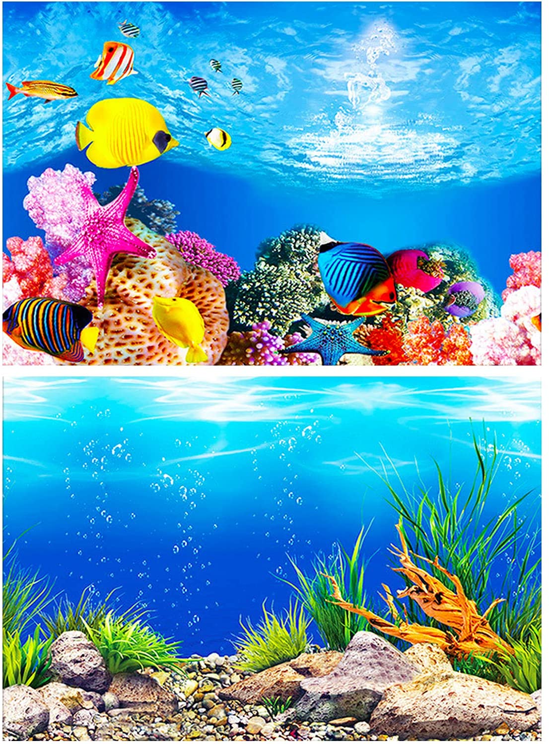 Fish Tank Background